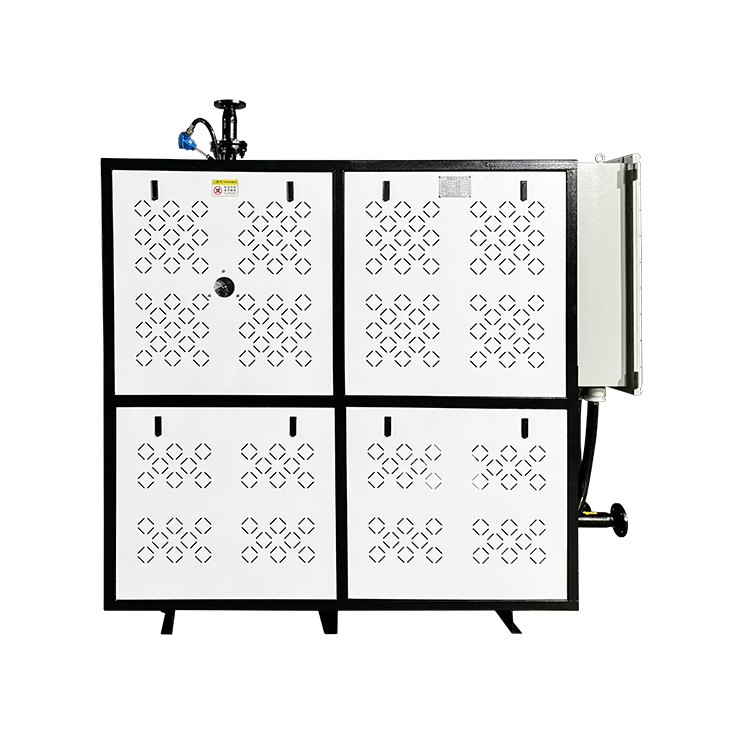 Thermal Oil Heater for Chemical Reactor 4.jpg